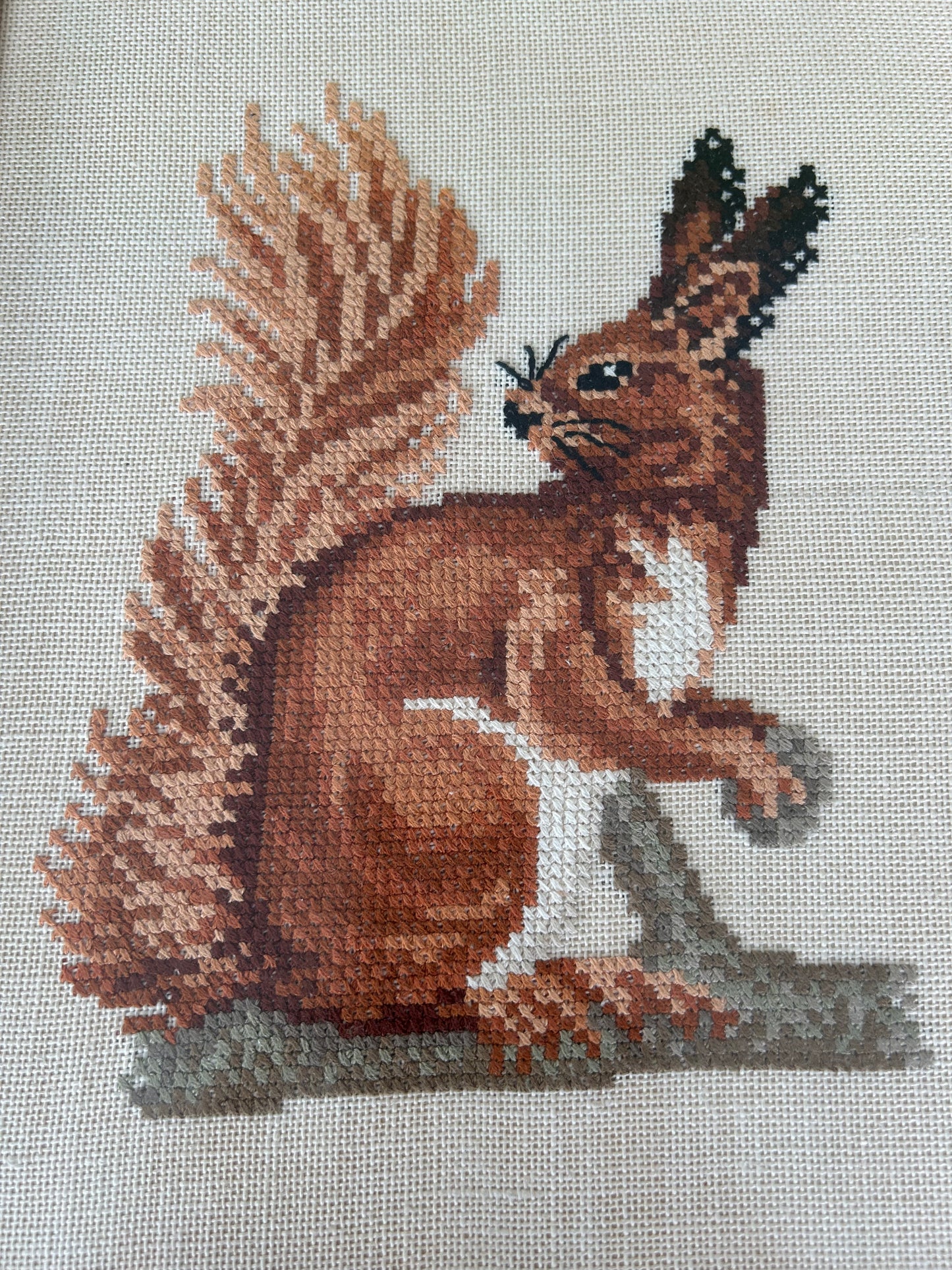 Stunning Cross Stitch of a Red Squirrel Medium Tone Frame