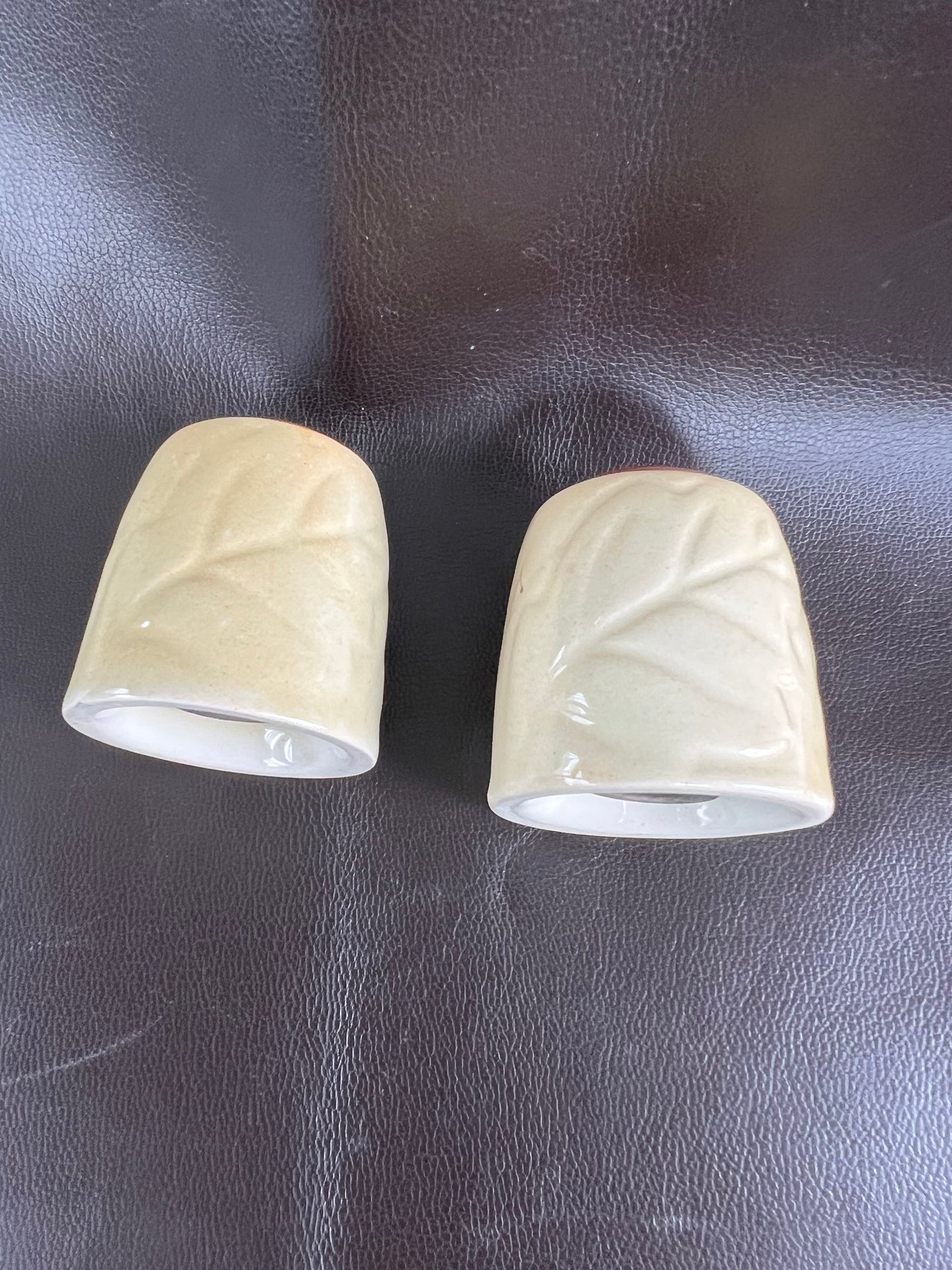 Vintage Carlton Ware Leaf Design Salt & Pepper Pots Autumn Theme With Stoppers