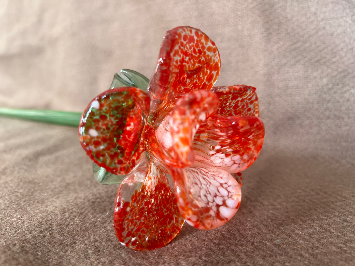 Large Murano Style Glass Flower Red & White