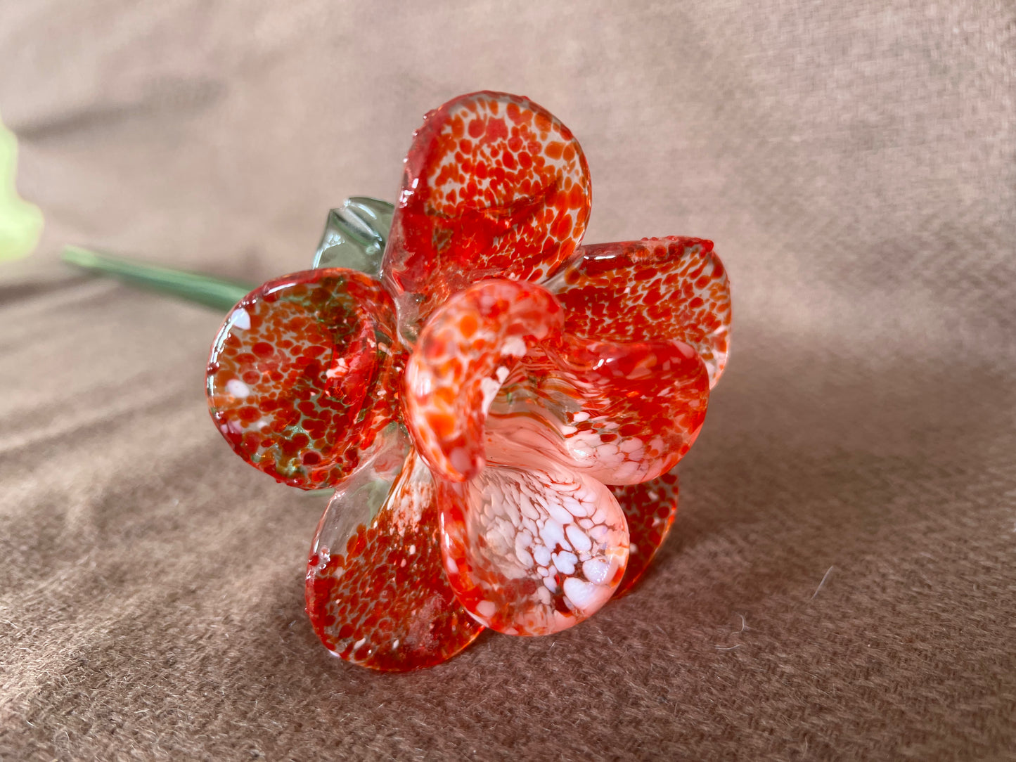 Large Murano Style Glass Flower Red & White