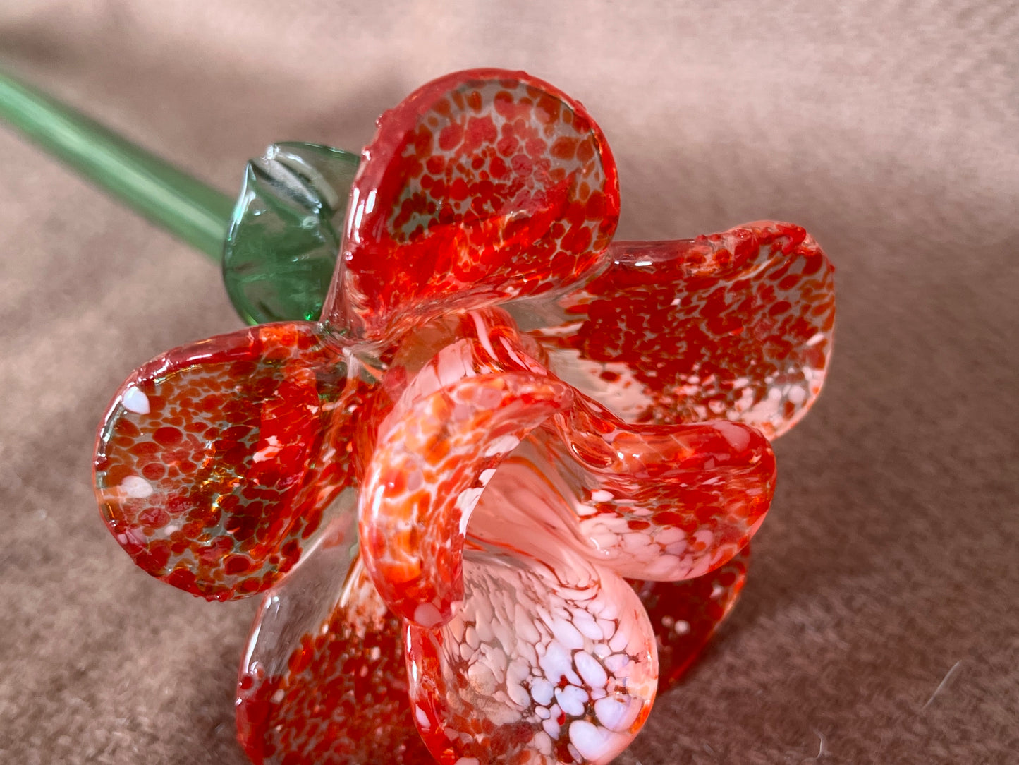 Large Murano Style Glass Flower Red & White
