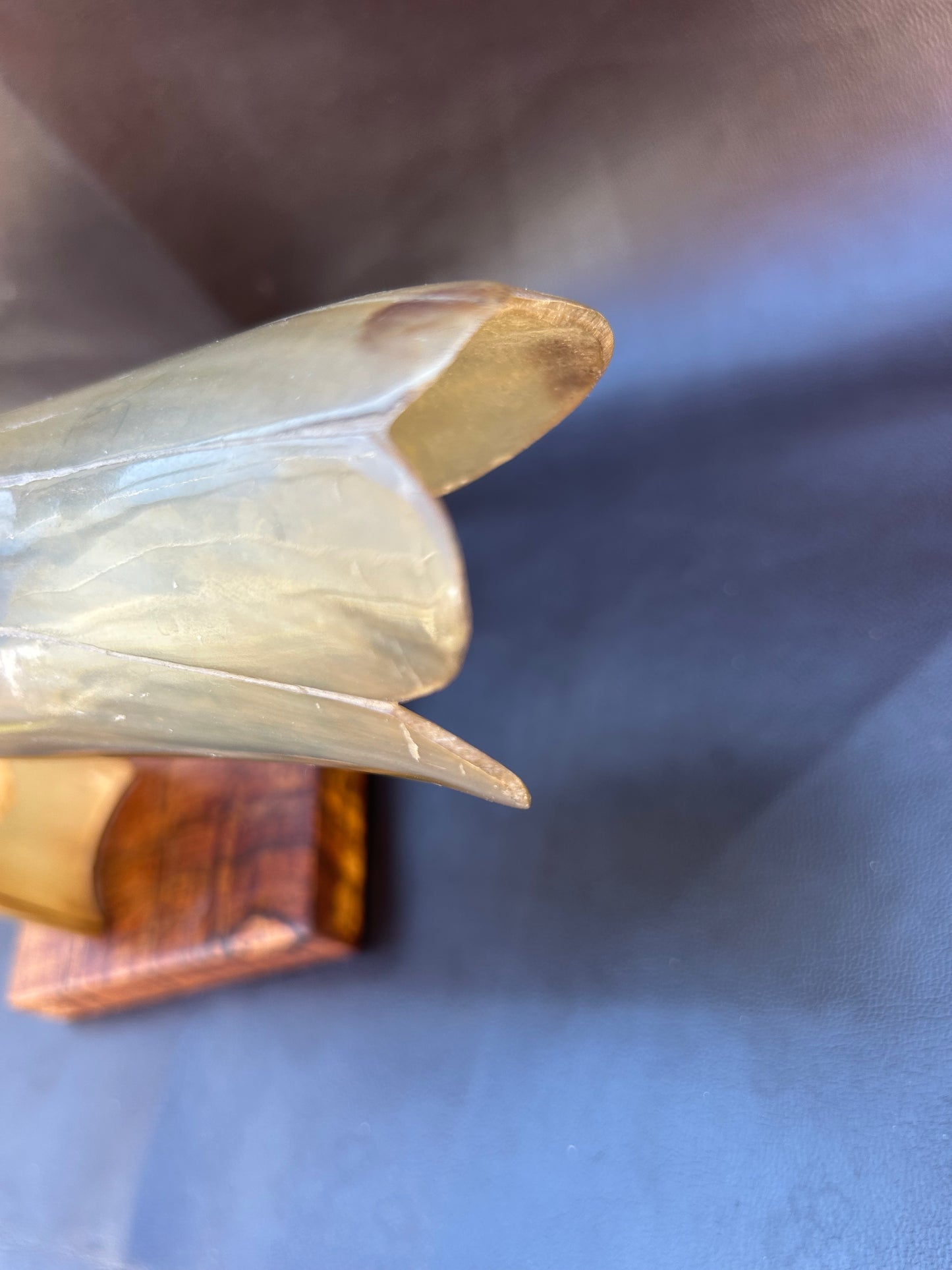 Vintage Mid Century Cow Horn Sculptured Sea Bird On Oak Base Retro